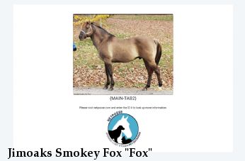 Jimoaks Smokey Fox "Fox"